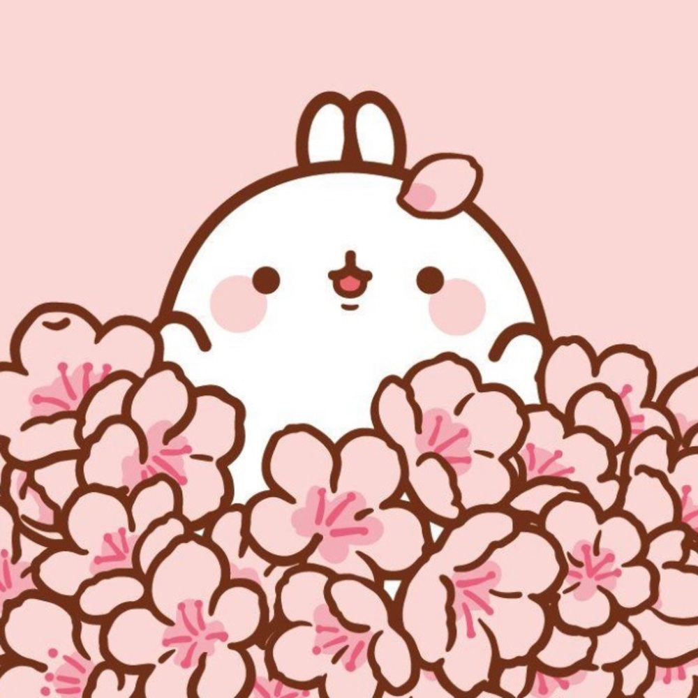 Meet your Posher, Bunny